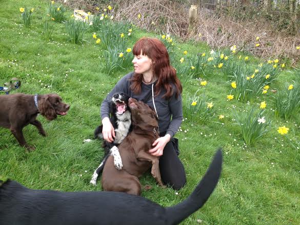 A person kneeling with several dogs in a grassy field